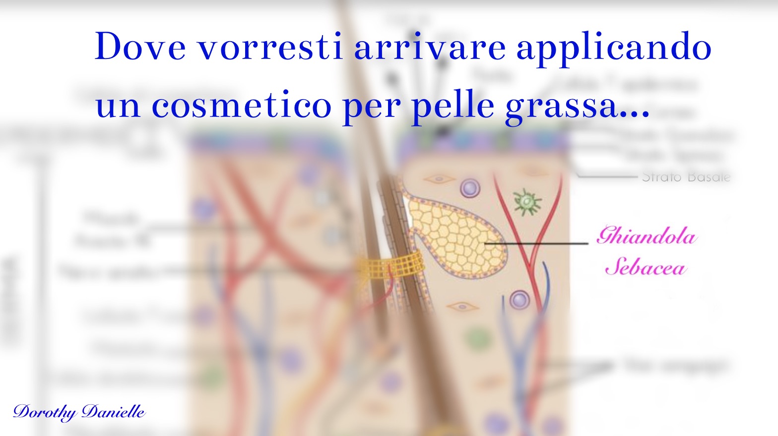 Pelle-grassa-detergenti-rimedi-cosmetici-errori-da-evitare