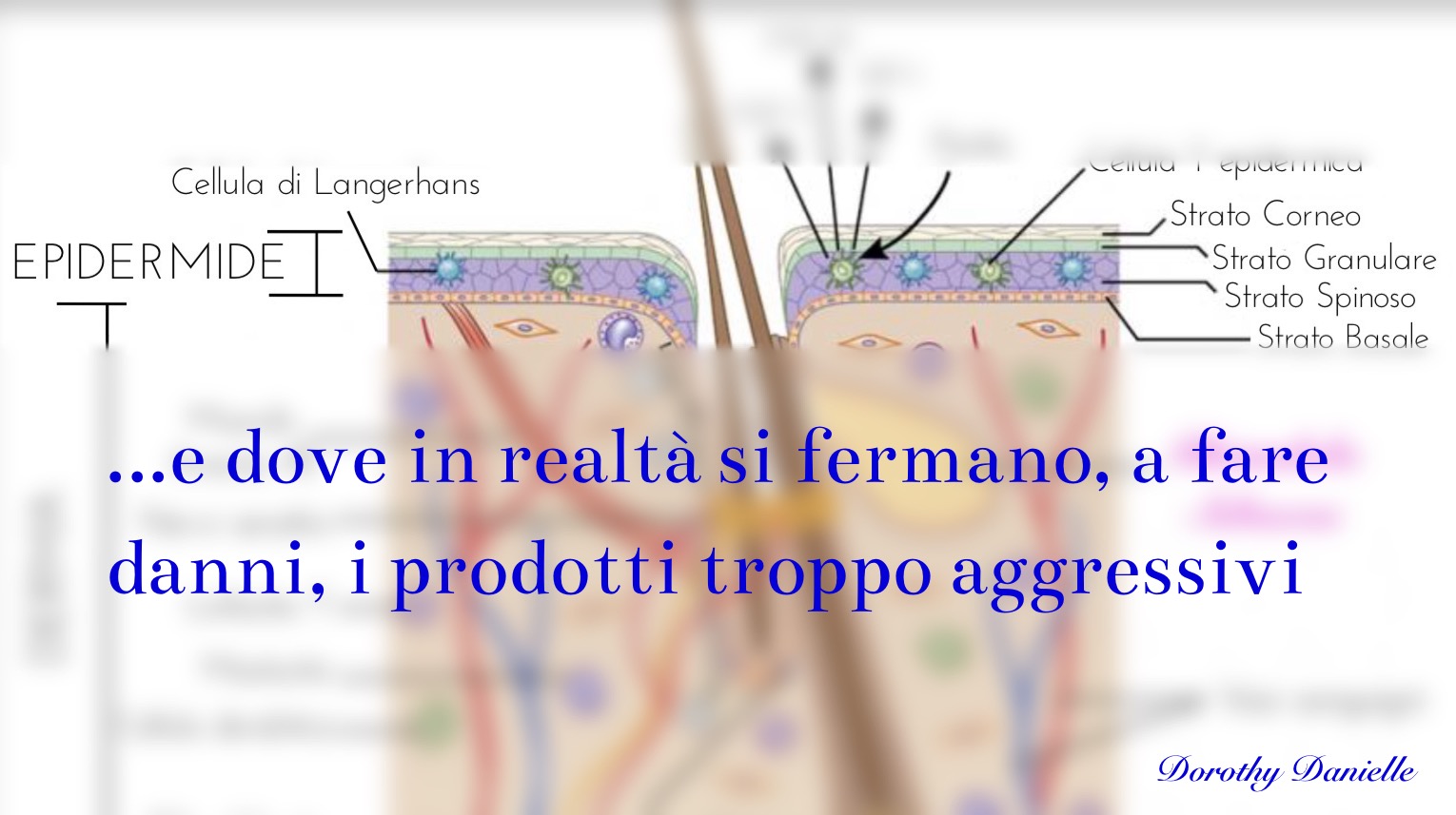 Pelle-grassa-errori-da-evitare-cause-rimedi-effetto-rebound-sole